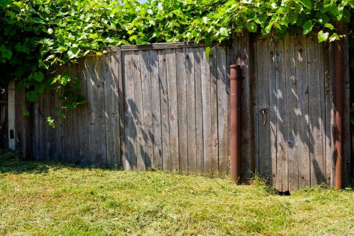 How To Clean Up Your Overgrown Backyard