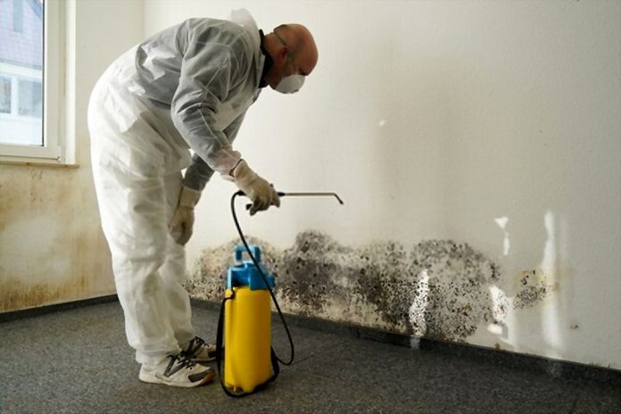 Some Tips on Mold Remediation