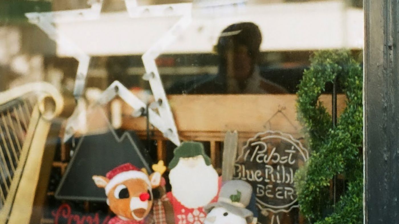Christmas decorations in a window