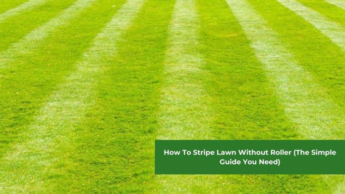 How To Stripe Lawn Without Roller featured image