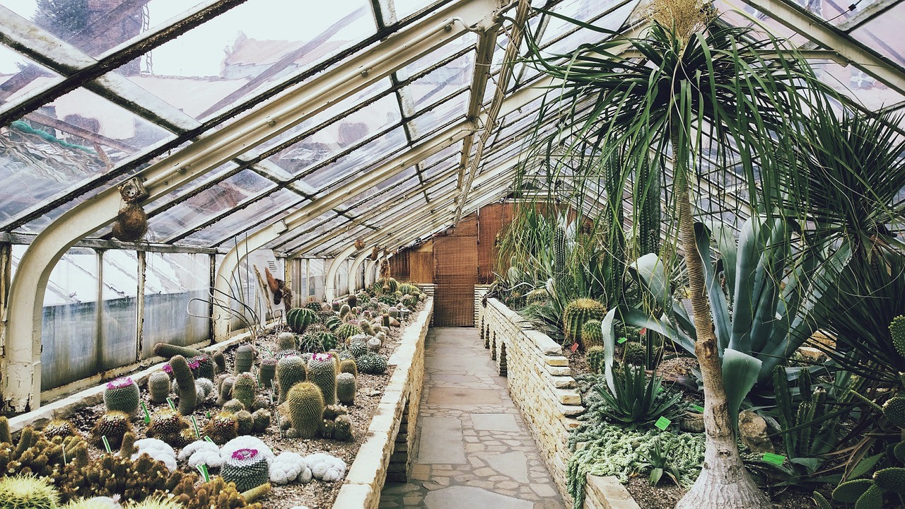 what-to-grow-in-a-greenhouse-garden