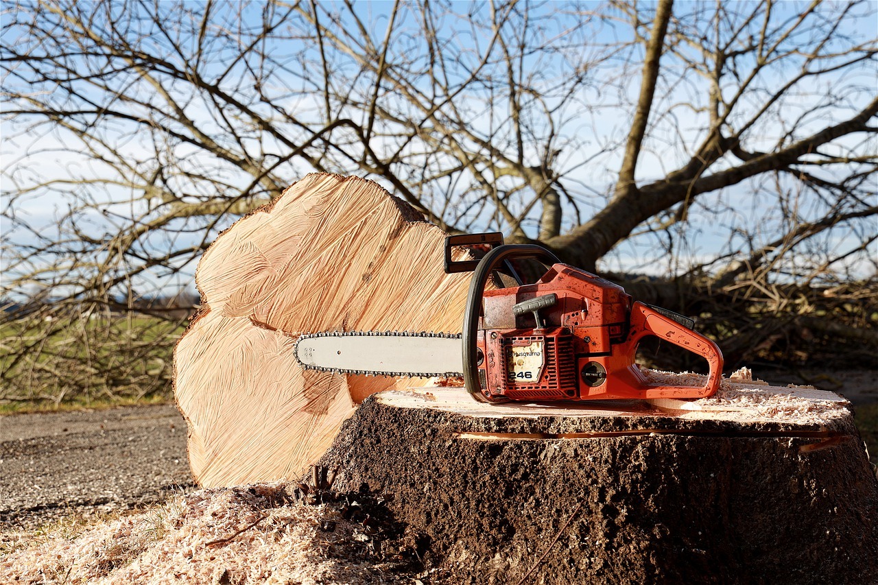 pruning-saw