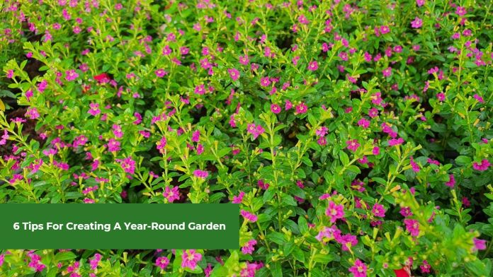 6 tips for creating a year round garden
