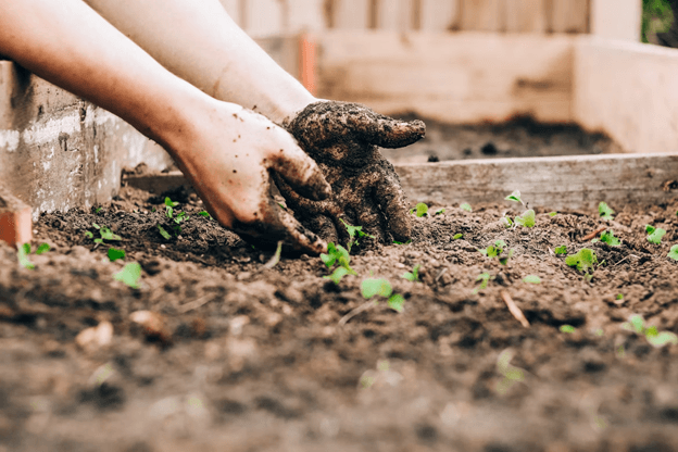 How To Start Gardening | Greenhouse Center