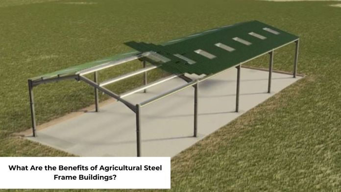 What Are the Benefits of Agricultural Steel Frame Buildings featured image