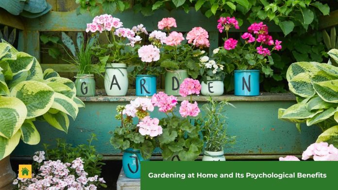 gardening at home featured image