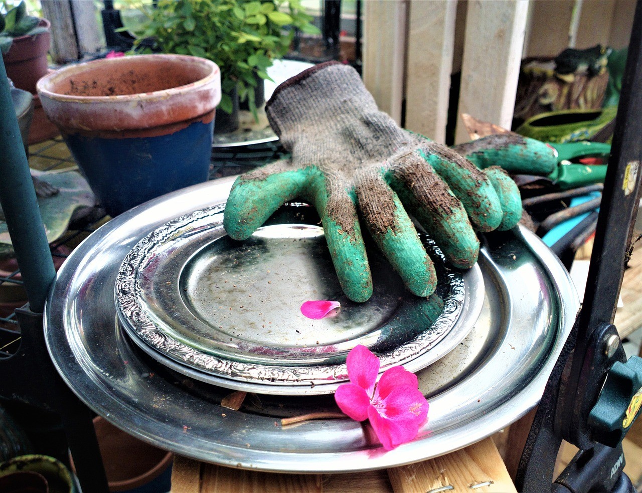 Gardening With Sweaty Palms featured image