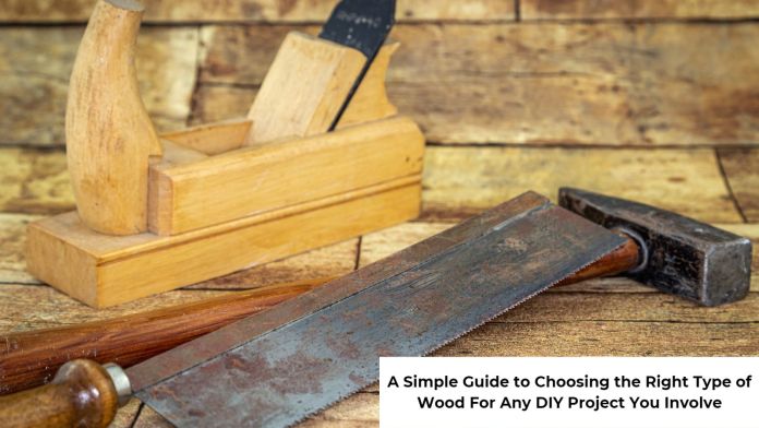 choosing the right type of wood for any DIY project featured image