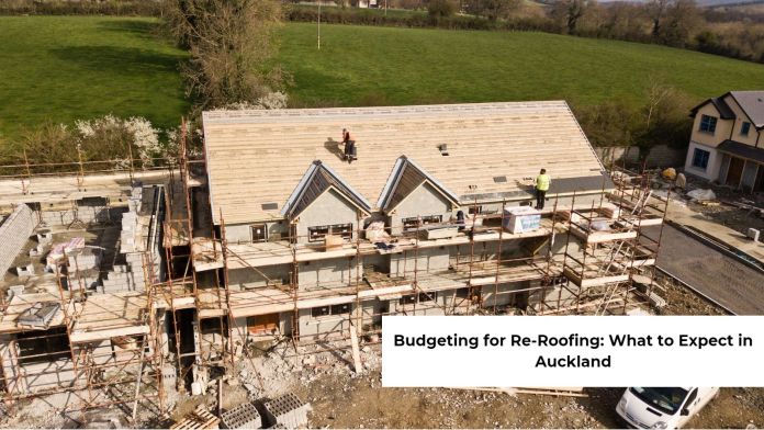 Budgeting for Re-Roofing in Auckland featured image