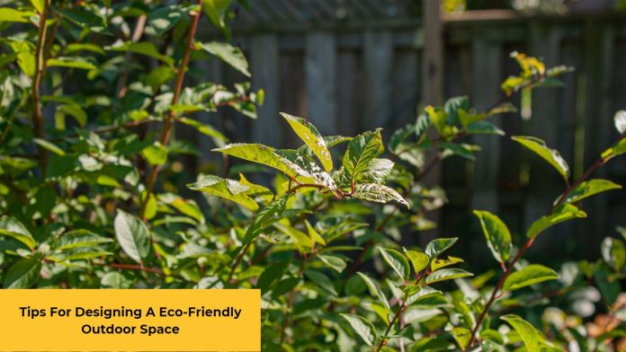 designing an eco-friendly outdoor space