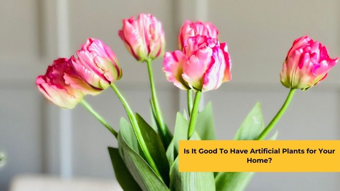 is it good to have artificial plants for your home featured image