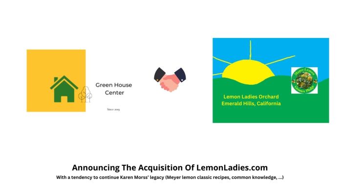announce the acquisition of Lemonladies.com featured image